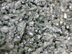 Montanelia sorediata