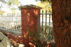 Zabalius ophthalmicus