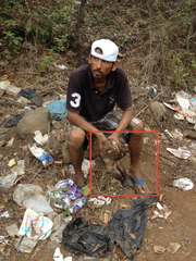 Didelphis virginiana