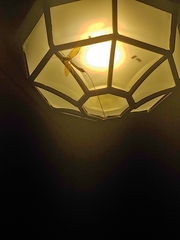 Megarhyssa macrurus icterosticta