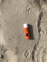 Herpestes pulverulentus