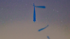 Notropis atherinoides