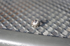 Glomeridae