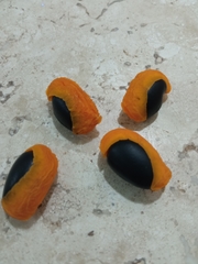 Copaifera langsdorffii