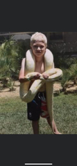 Python bivittatus bivittatus