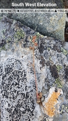 Micranthes foliolosa