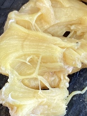 Laetiporus sulphureus