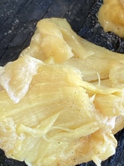 Laetiporus sulphureus