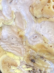 Laetiporus sulphureus