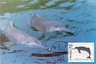 Baiji