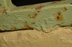 Pseudomyrmex filiformis