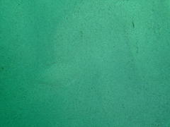 Heteromycteris capensis