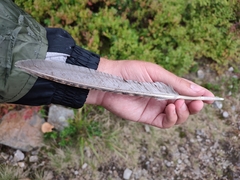 Tetrao