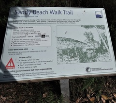 Ricinocarpos glaucus