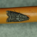 Speckled Black Pyla Moth - Photo (c) Jonathan Fréchette, some rights reserved (CC BY-NC), uploaded by Jonathan Fréchette