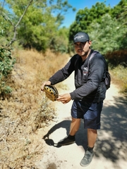 Trachemys scripta elegans
