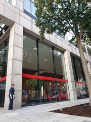 Archilochus colubris