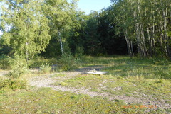 Hygrocybe calciphila