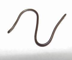 Epictia borapeliotes
