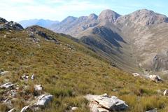 Amphithalea muraltioides