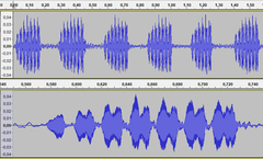 Velarifictorus micado