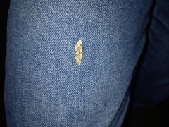 Eupithecia linariata