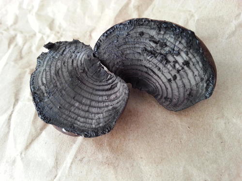 Rievėtoji anglenė nuotrauka