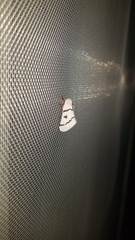 Hemileuca neumoegeni