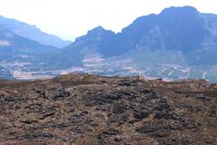 Pelecanus onocrotalus