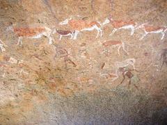 Equus zebra hartmannae