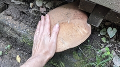 Tylopilus atronicotianus