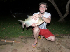 Colossoma macropomum