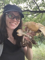 Agaricus nanaugustus