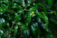 © JODY HSIEH, some rights reserved (CC-BY-NC)