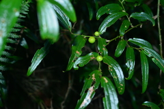 © JODY HSIEH, some rights reserved (CC-BY-NC)