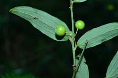 © JODY HSIEH, some rights reserved (CC-BY-NC)