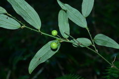 © JODY HSIEH, some rights reserved (CC-BY-NC)