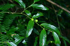 © JODY HSIEH, some rights reserved (CC-BY-NC)