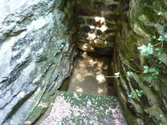 Pseudotriton ruber ruber