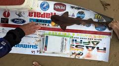 Haploblepharus fuscus