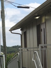 Baeolophus bicolor × atricristatus