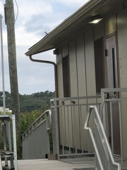 Baeolophus bicolor × atricristatus