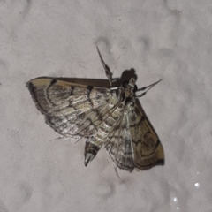 Salbia
