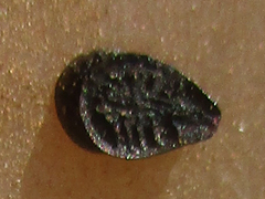 Sesamum trilobum image