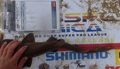 Haploblepharus fuscus