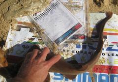 Haploblepharus fuscus