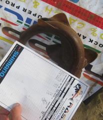 Haploblepharus fuscus