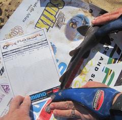 Haploblepharus fuscus