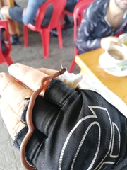 Tantilla