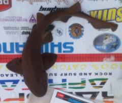 Haploblepharus fuscus